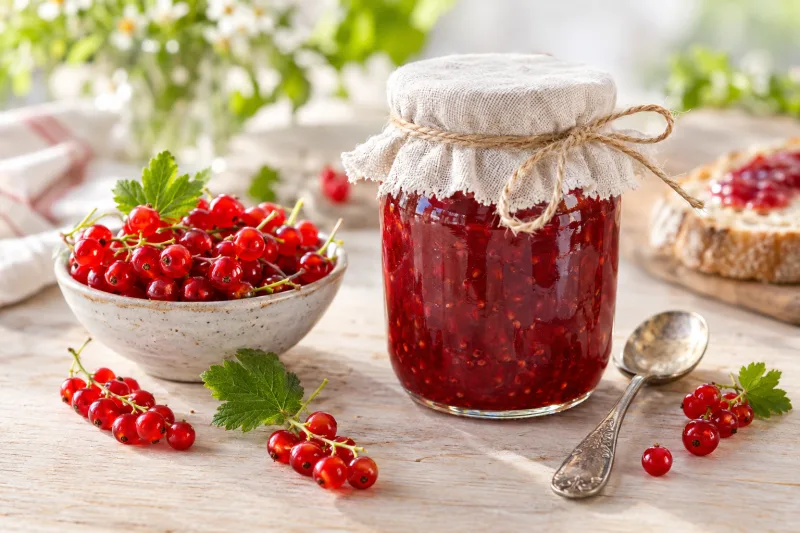 Rote Johannisbeermarmelade in einem Glas mit frischen Johannisbeeren daneben