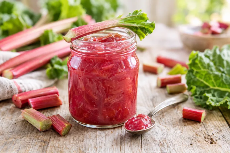 Vegane Rhabarbermarmelade in einem Glas mit frischem Rhabarber