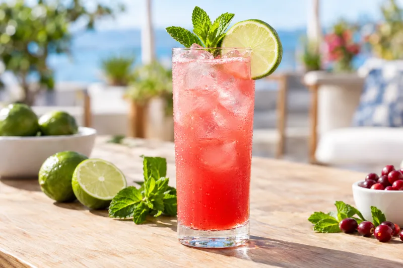 Veganer Seabreeze Cocktail in einem hohen Glas mit Eis, Limette und Minze