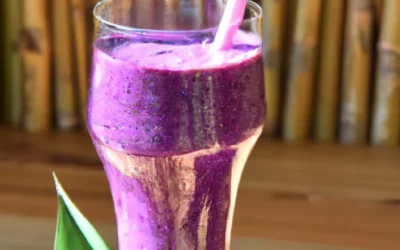 Blaubeer-Spinat-Antioxidans – Smoothie
 – vegan